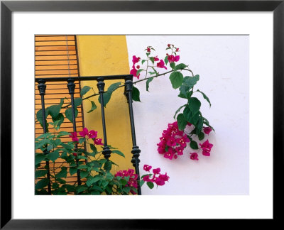 Bougainvillea Flower On Balcony, Cordoba, Andalucia, Spain by John Banagan Pricing Limited Edition Print image