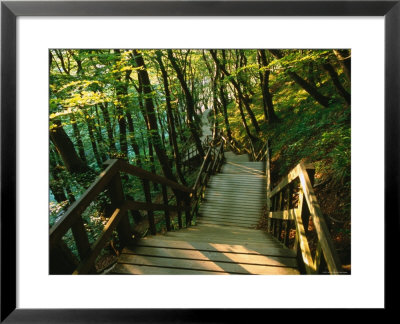 Stairs To Ocean At Mons Klint, Mon, Storstrom, Denmark by John Elk Iii Pricing Limited Edition Print image
