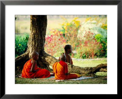 Buddhist Monks At Meditation Under Tree by Lindsay Brown Pricing Limited Edition Print image