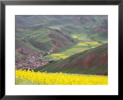 Village Nestled In A Valley And Fields Wheat And Flowering Rape, Qinghai, China by David Evans Pricing Limited Edition Print image