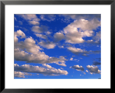 Blue Sky In Summer With Cumulus Clouds by John Eastcott & Yva Momatiuk Pricing Limited Edition Print image