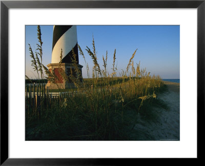 Sea Oats Bending In Wind Near The Cape Hatteras Lighthouse by Steve Winter Pricing Limited Edition Print image