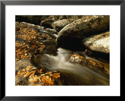 Fox Creek And Autumn Leaves In The Jefferson National Forest by Raymond Gehman Pricing Limited Edition Print image