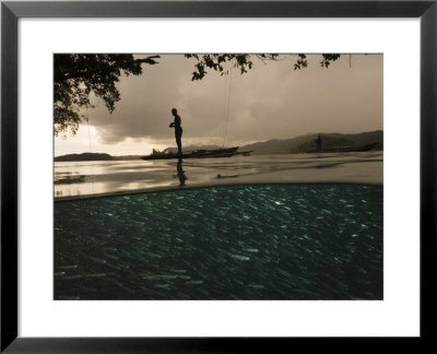 Fishermen Tie Their Outriggers To Trees Overhanging A Coral Islet by David Doubilet Pricing Limited Edition Print image