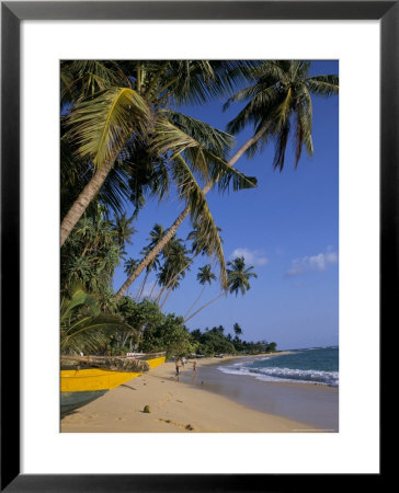 Palm Trees And Beach, Unawatuna, Sri Lanka by Charles Bowman Pricing Limited Edition Print image