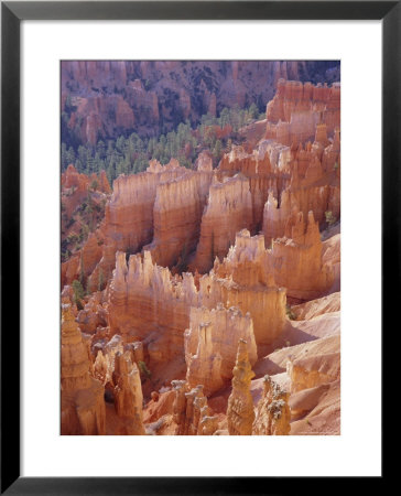 Rock Hoodoos From Sunset Point, Bryce Canyon National Park, Utah, Usa by Gavin Hellier Pricing Limited Edition Print image