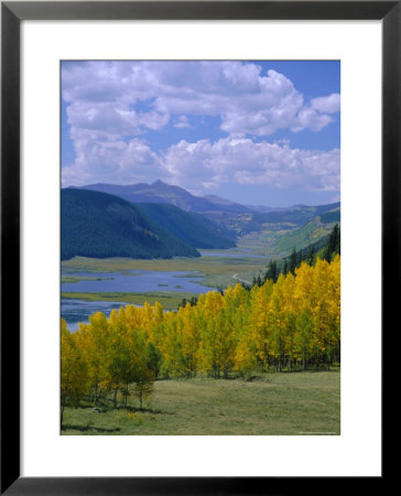 Rio Grande National Forest, Colorado, Usa by Jean Brooks Pricing Limited Edition Print image