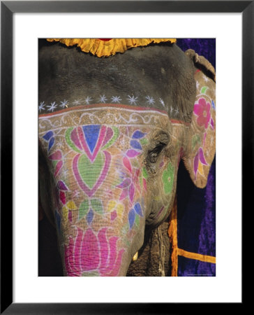 Decorated Elephant, Rajasthan, India by Bruno Morandi Pricing Limited Edition Print image
