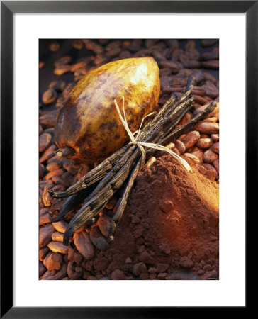 Still Life With Cocoa And Vanilla Pods by Marc O. Finley Pricing Limited Edition Print image