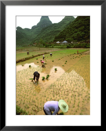 Rice Farmers In Yangshou, China by Bill Bachmann Pricing Limited Edition Print image