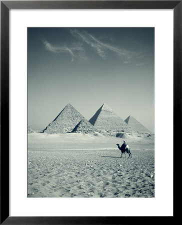 Camel And Giza Pyramids, Giza, Cairo, Egypt by Jon Arnold Pricing Limited Edition Print image