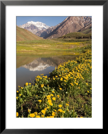 Lago Horcones With Cerro Aconcagua In The Background by Michael S. Lewis Pricing Limited Edition Print image