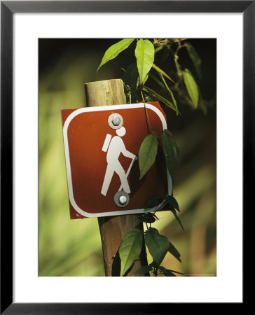 Hiking Trail Marker by Raymond Gehman Pricing Limited Edition Print image