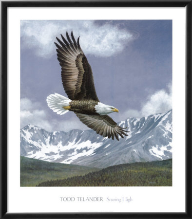 Soaring High by Telander Pricing Limited Edition Print image