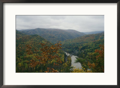 Leaves Change Color In The Fall Along The Nolichucky River by Stephen Alvarez Pricing Limited Edition Print image