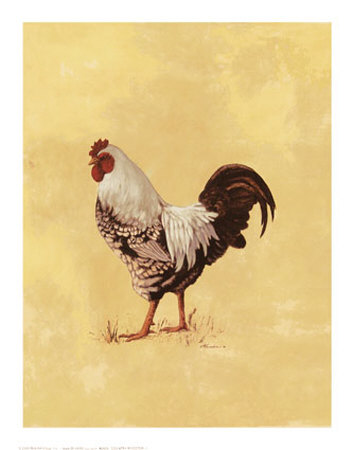 Country Rooster Ii by Consuelo Gamboa Pricing Limited Edition Print image