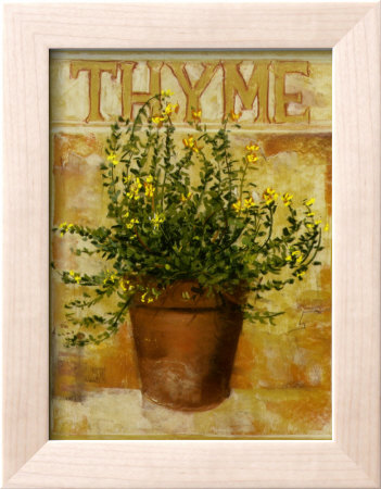 Thyme by Carol Elizabeth Pricing Limited Edition Print image