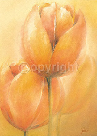 Romantic Tulips by Alicia Sloan Pricing Limited Edition Print image
