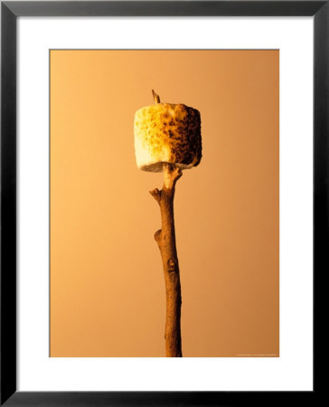 Roasted Marshmallow On A Stick by Ernie Friedlander Pricing Limited Edition Print image