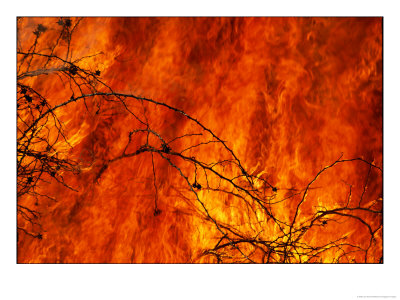 Fire Consumes The Prairie by Joel Sartore Pricing Limited Edition Print image