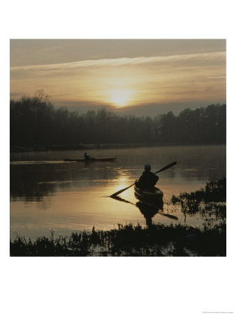 Kayakers Paddle Through Still Water Surrounded By Trees by Sam Kittner Pricing Limited Edition Print image