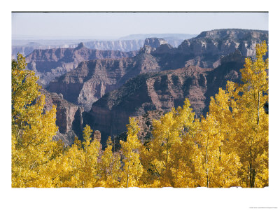 Fall Colors On The North Rim by Justin Locke Pricing Limited Edition Print image