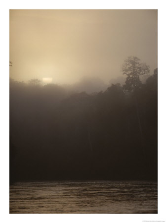 A Rain Forest And River In Misty Moonlight by Mattias Klum Pricing Limited Edition Print image