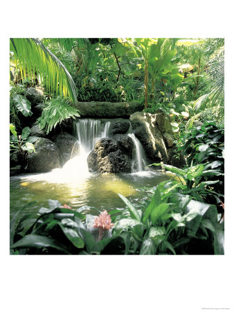 Tropical Waterfall by Rick Bostick Pricing Limited Edition Print image
