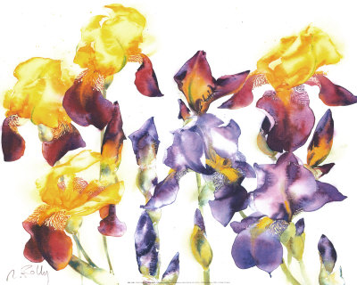 Planche Iris Iii by Marc Folly Pricing Limited Edition Print image