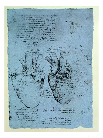 The Heart, Facsimile Of The Windsor Book by Leonardo Da Vinci Pricing Limited Edition Print image