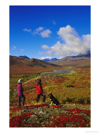 Hikers And A Dog In The Ogilvie Mountains by Paul Nicklen Pricing Limited Edition Print image