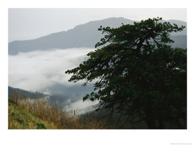 Fog In Valley Below Old Rag Mountain by Raymond Gehman Pricing Limited Edition Print image