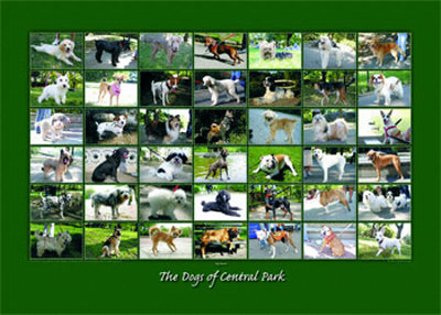 The Dogs Of Central Park by Rick Anderson Pricing Limited Edition Print image