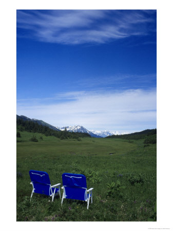 2 Chairs In Flower Field, Kenai, Alaska by Mike Robinson Pricing Limited Edition Print image