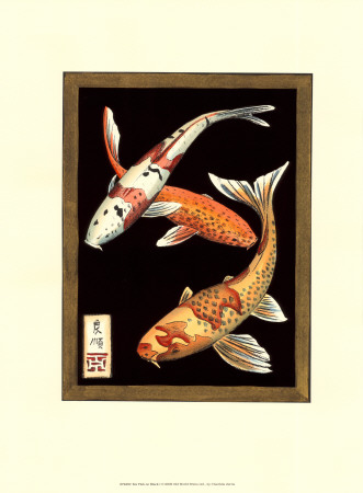 Koi Fish On Black I by Chariklia Zarris Pricing Limited Edition Print image