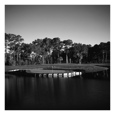 Tpc Sawgrass Stadium Course, Hole 17, Black And White by Bill Fields Pricing Limited Edition Print image