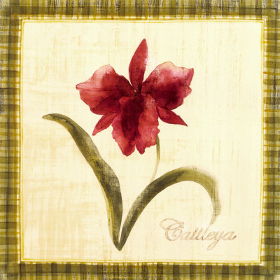 Cattleya by Yuna Pricing Limited Edition Print image