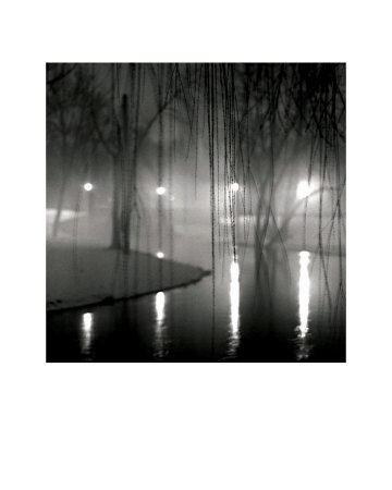 Willow Branches, River Rouge by Bill Schwab Pricing Limited Edition Print image
