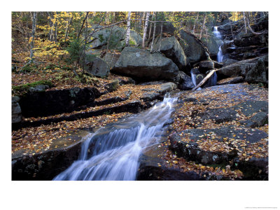 Champney Brook In White Mountains, New Hampshire, Usa by Jerry & Marcy Monkman Pricing Limited Edition Print image