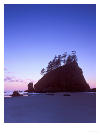 Second Beach Dawn, Olympic National Park, Washington, Usa by Rob Tilley Pricing Limited Edition Print image