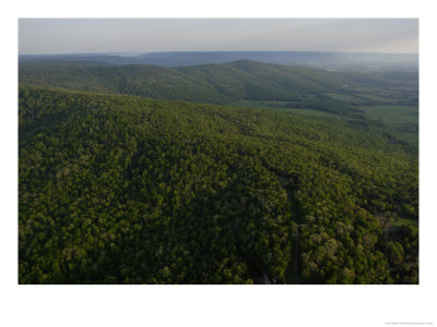 An Aerial View Of The Cumberland Plateau Near Sewanee by Stephen Alvarez Pricing Limited Edition Print image
