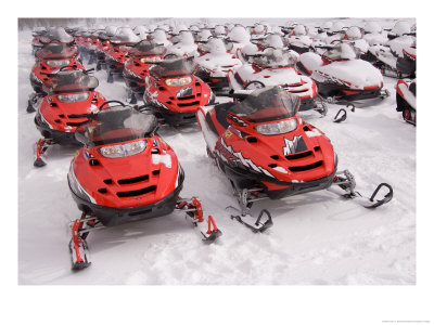A Row Of Snowmobiles Sit Waiting For The Next Adventure To Start by Taylor S. Kennedy Pricing Limited Edition Print image