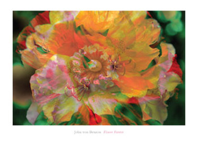 Flower Painter by John Von Benzon Pricing Limited Edition Print image