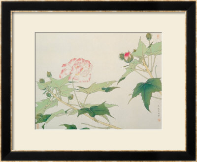 Hibiscus by Hsi-Tsun Chang Pricing Limited Edition Print image