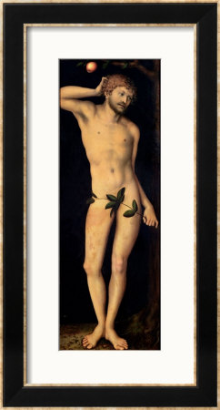 Adam, 1528 by Lucas Cranach The Elder Pricing Limited Edition Print image