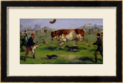Bull Baiting by Samuel Henry Alken Pricing Limited Edition Print image