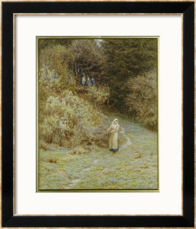 In The Primrose Wood by Helen Allingham Pricing Limited Edition Print image