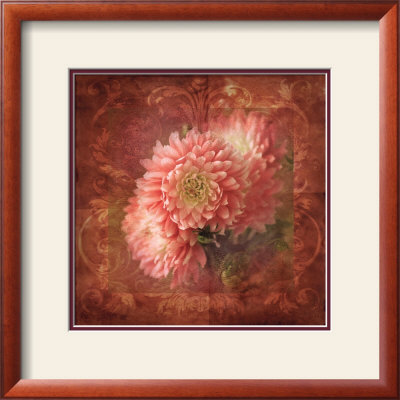Dahlia I by Tom Collicott Pricing Limited Edition Print image