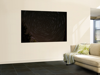 Star Trails Around Polaris In The Constellation Ursa Minor by Stocktrek Images Pricing Limited Edition Print image