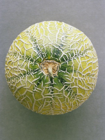 Cantaloupe by Heide Benser Pricing Limited Edition Print image
